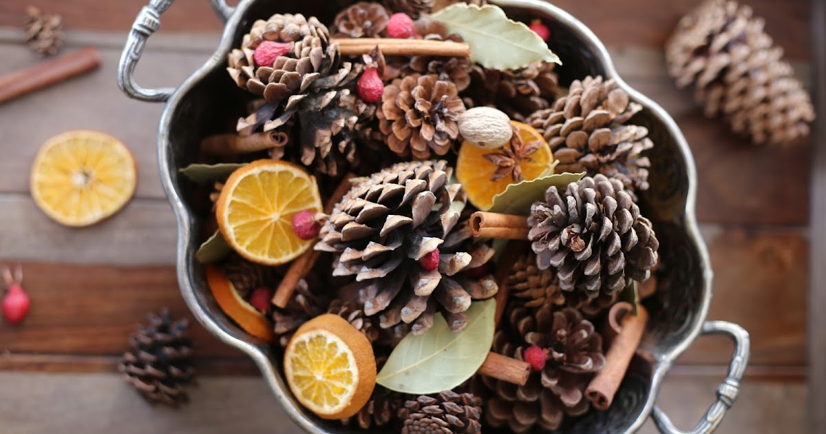 Pinecones and oranges